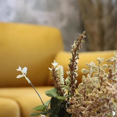 Le Boheme Daire Charleville-Mézières